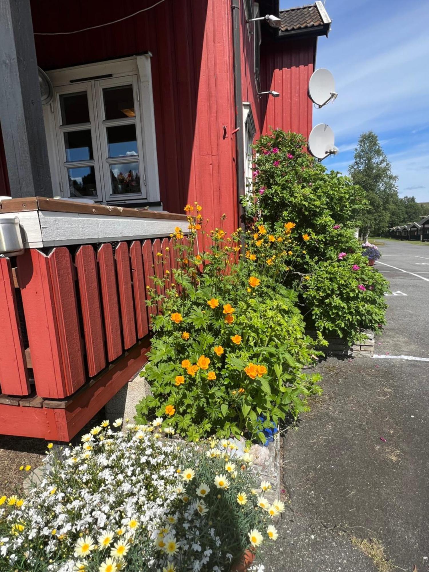 古欧维格露营地 Soknedal 外观 照片