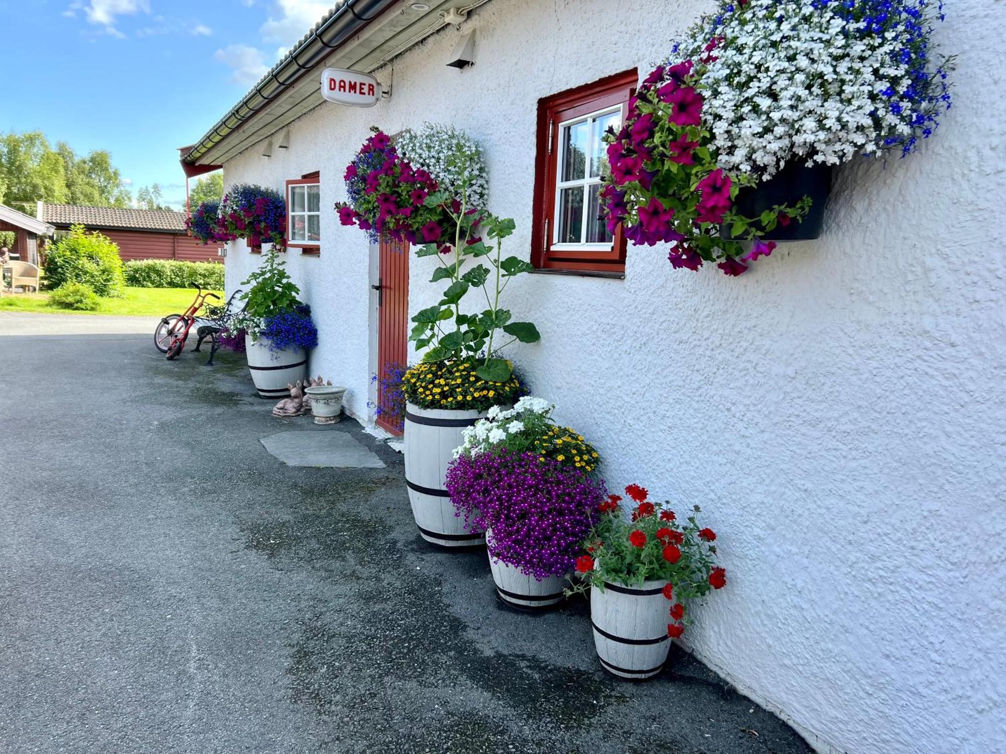 古欧维格露营地 Soknedal 外观 照片