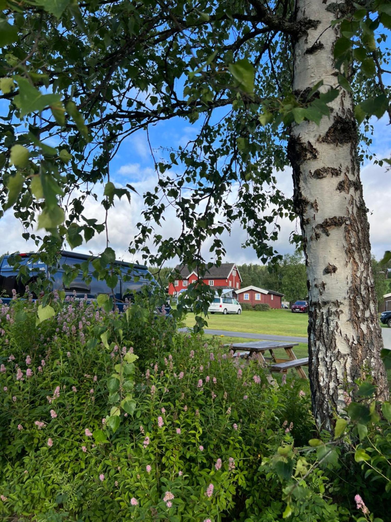古欧维格露营地 Soknedal 外观 照片