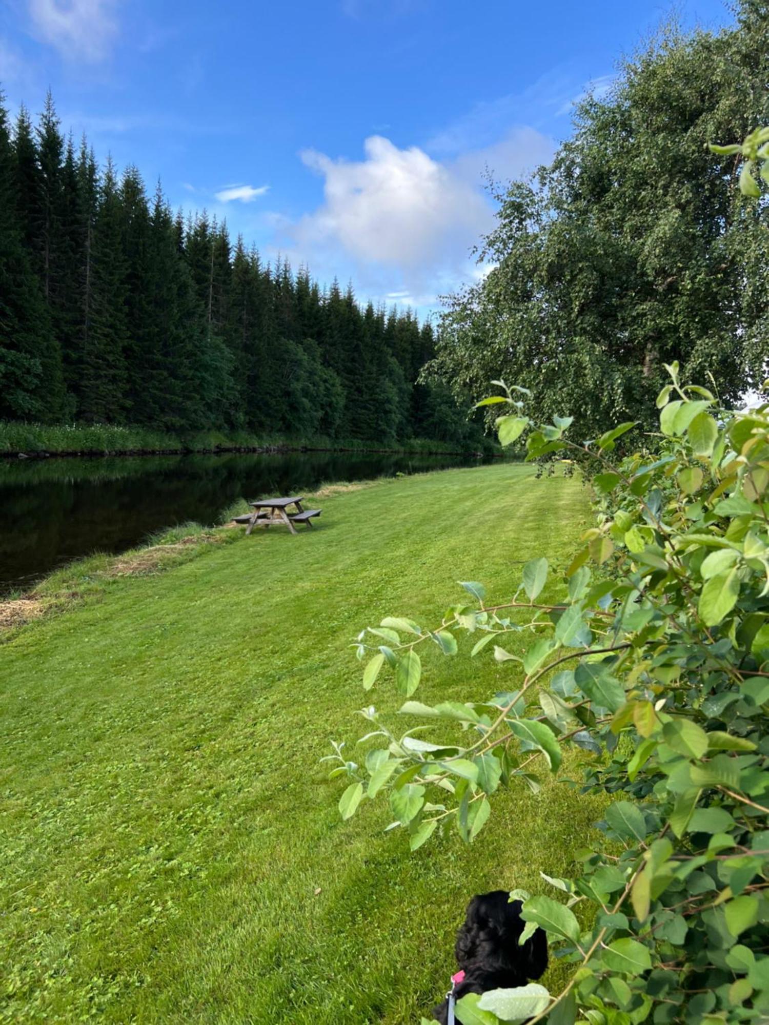 古欧维格露营地 Soknedal 外观 照片